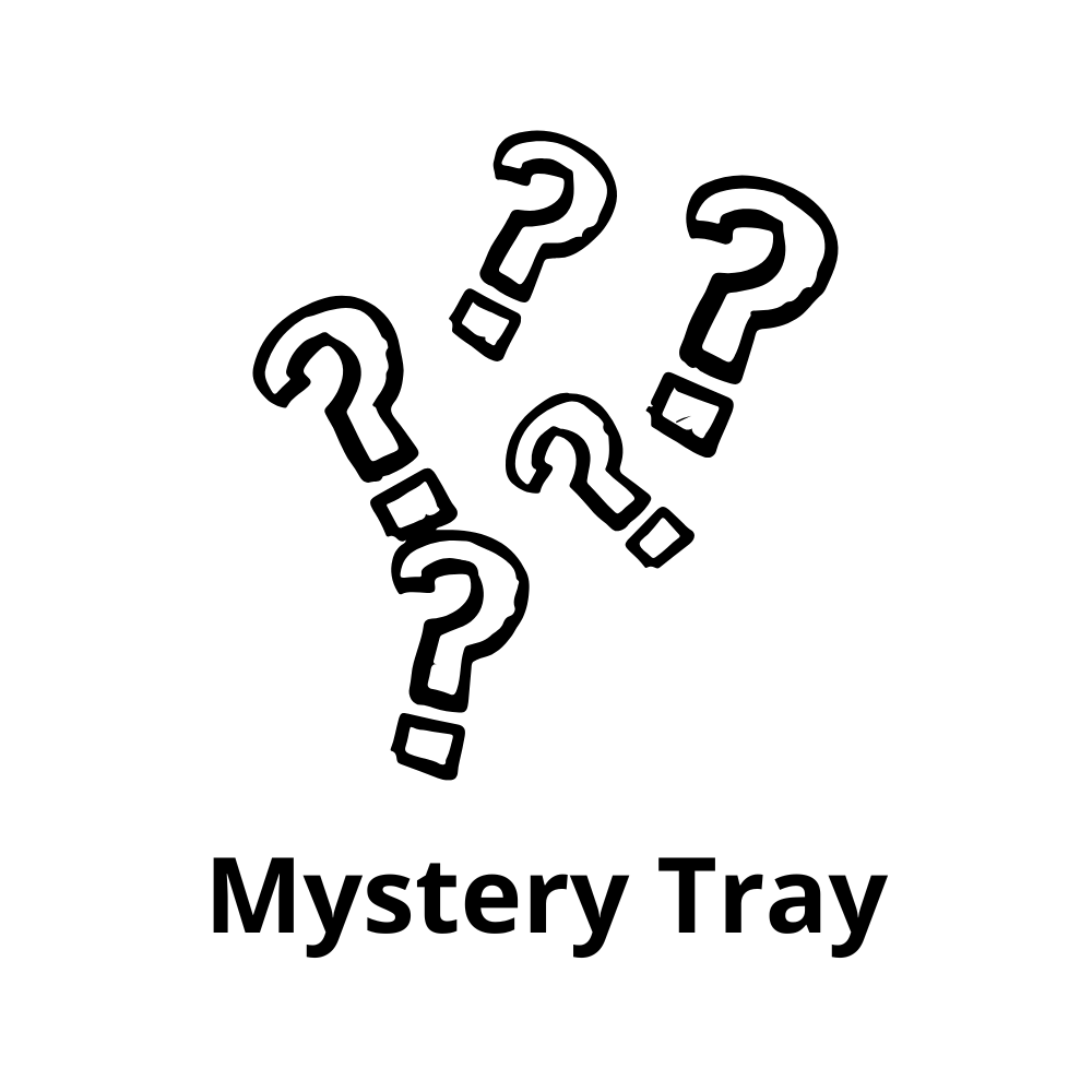 Diamond Painting Tray With Lid (Winter Mystery Tray) (Limited Edition)